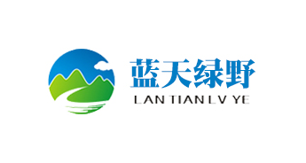 武汉蓝天绿野咨询设计有限公司